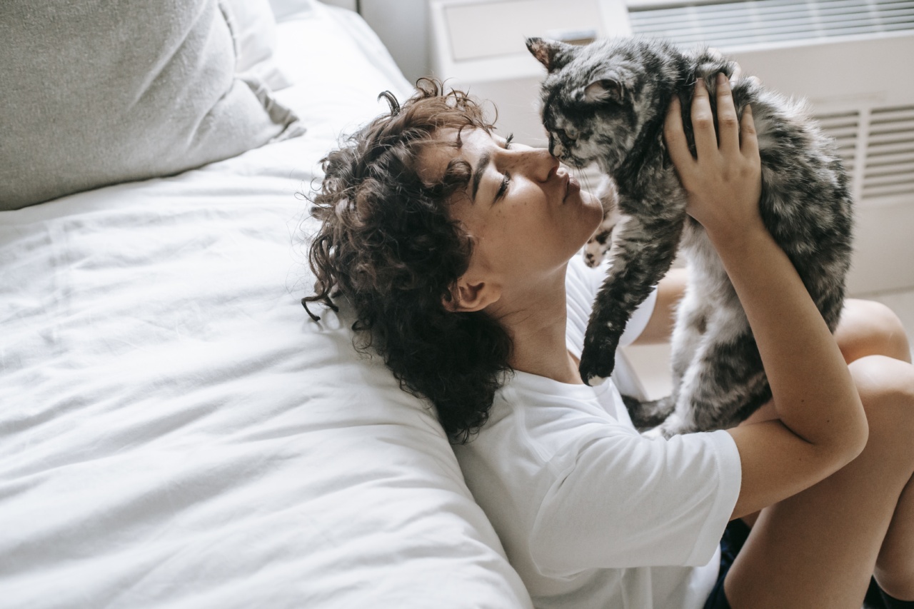 Cat Love 101: A Guide to Understanding Your Feline Friend’s Affection