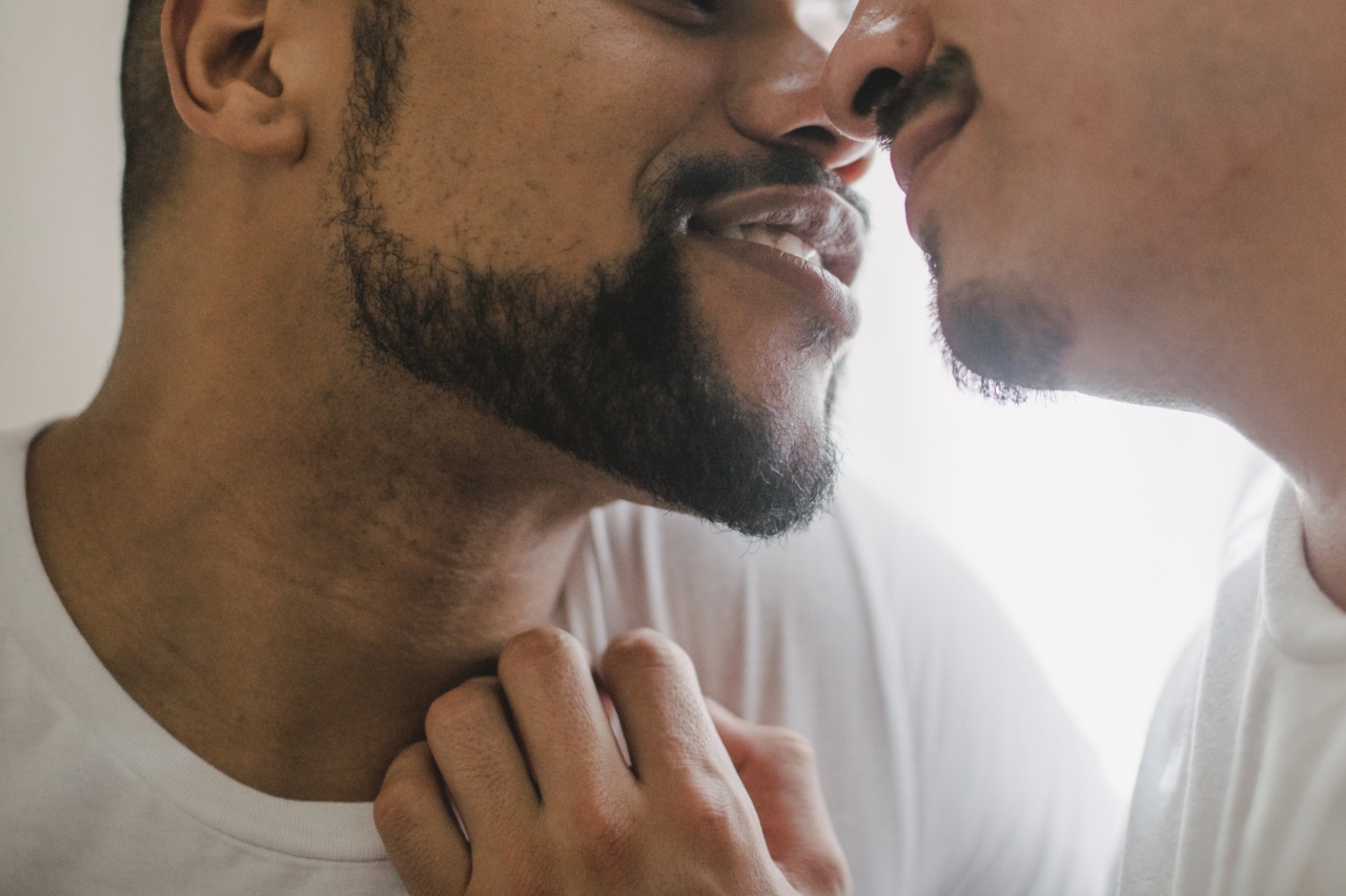 Is kissing dogs in the mouth risky?