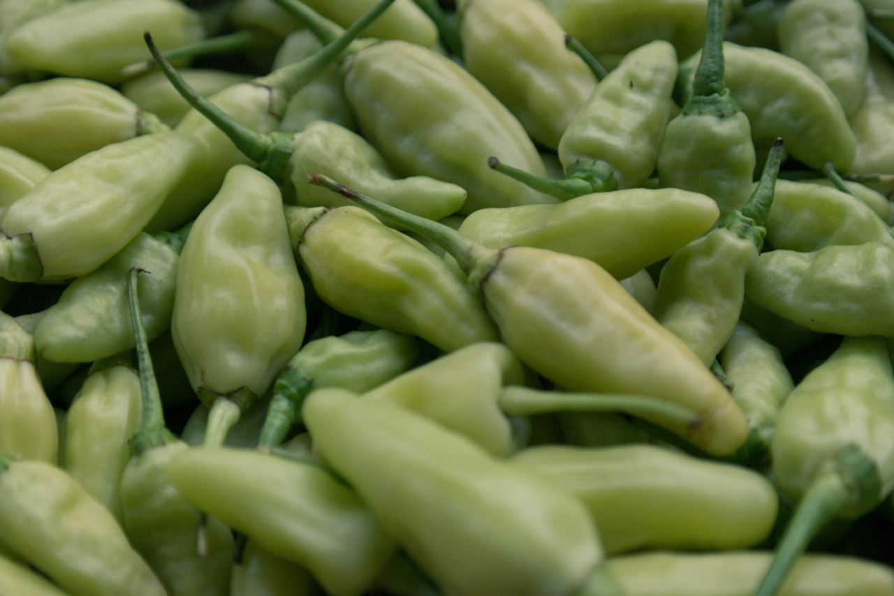 Longevity Ingredient Discovered in Hot Peppers