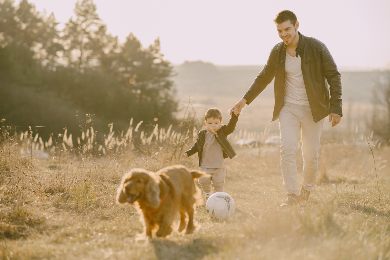 Teaching Your Dog to Love Playing Ball