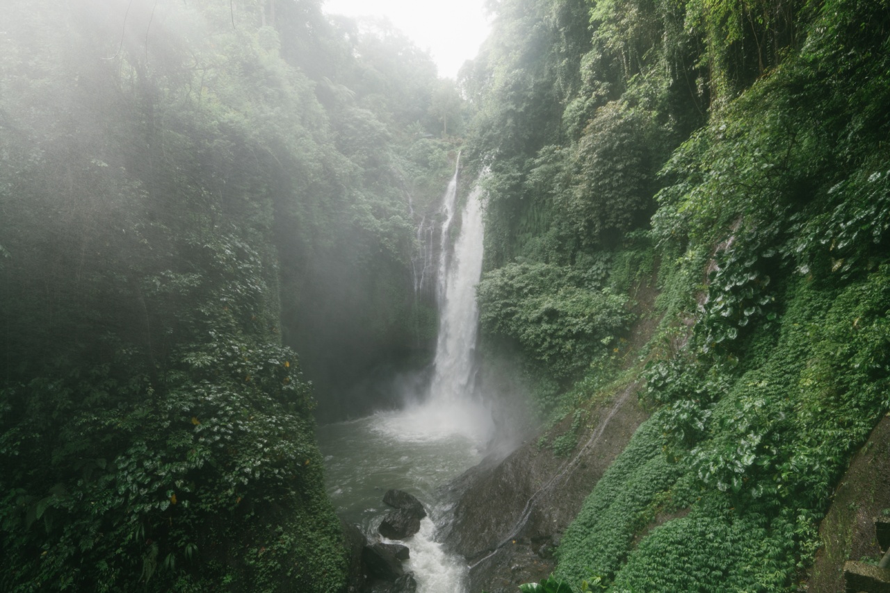 How Glaucoma and Macular Degeneration Affect the View of a Waterfall