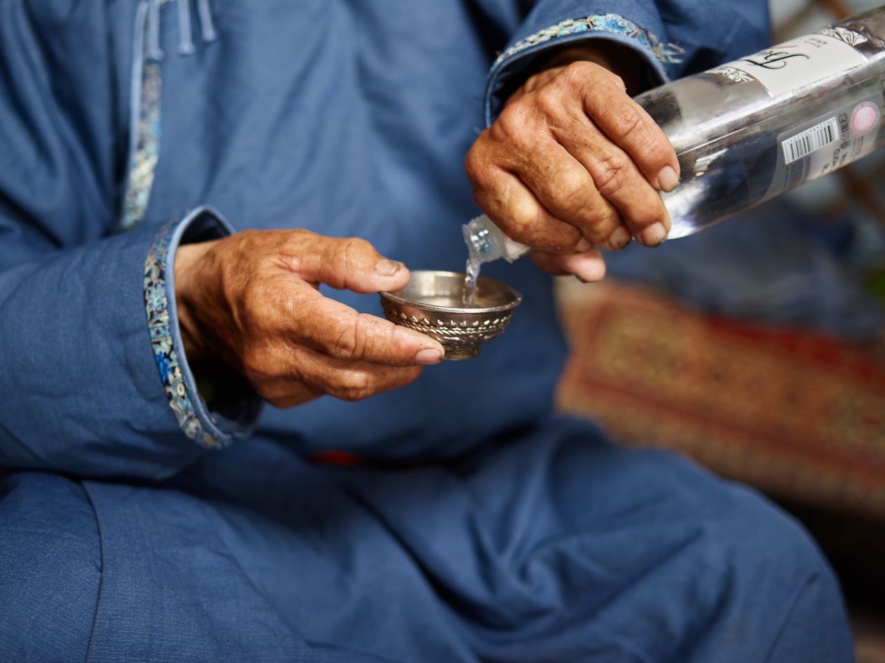 The Link Between Alcohol Consumption and Cognitive Performance in the Elderly
