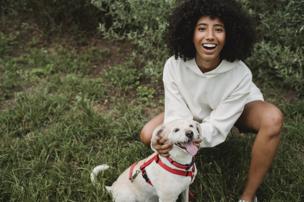 Tips to Stop Your Dog from Chewing on Their Leash