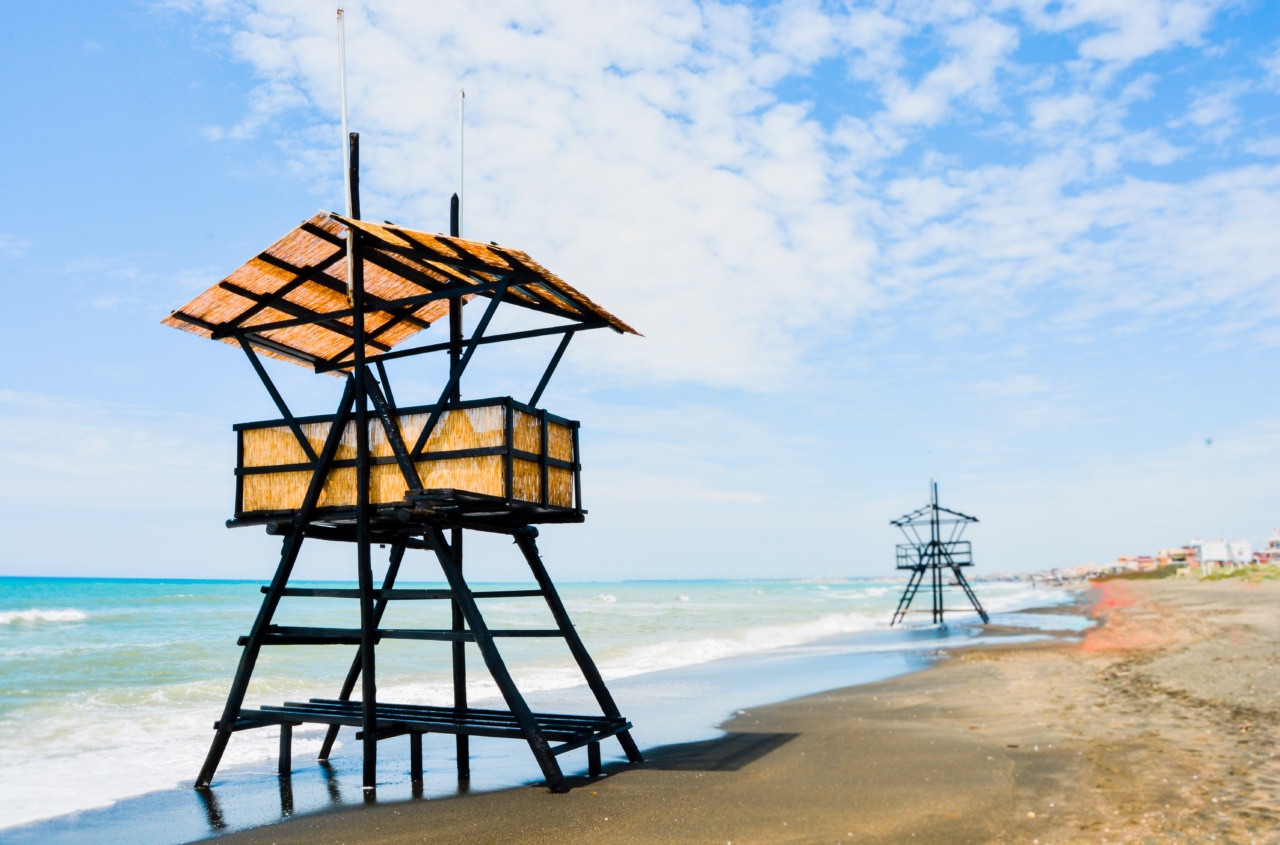 The Ocean – Rebel Waves that Protect Memories and Calm Inflammation