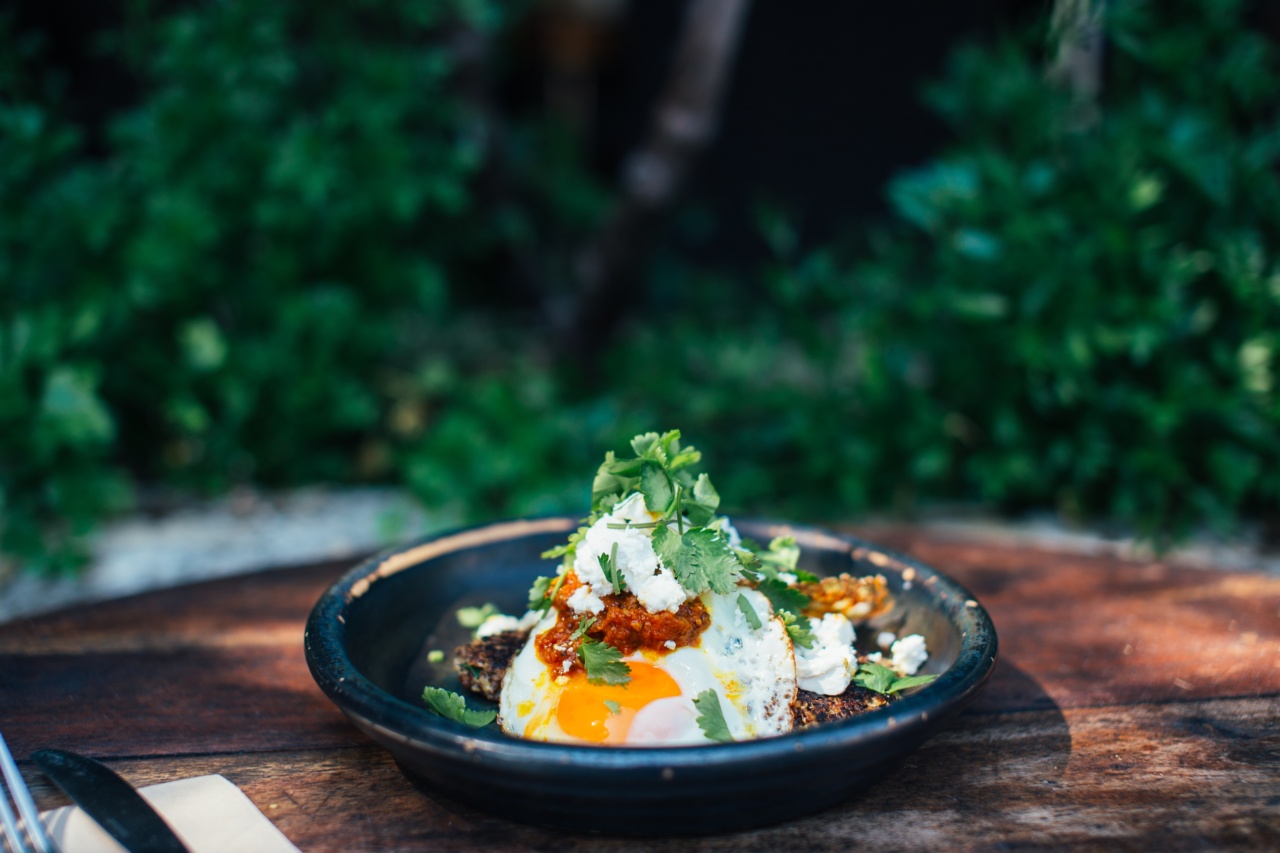 Power up your diet with plant-based protein