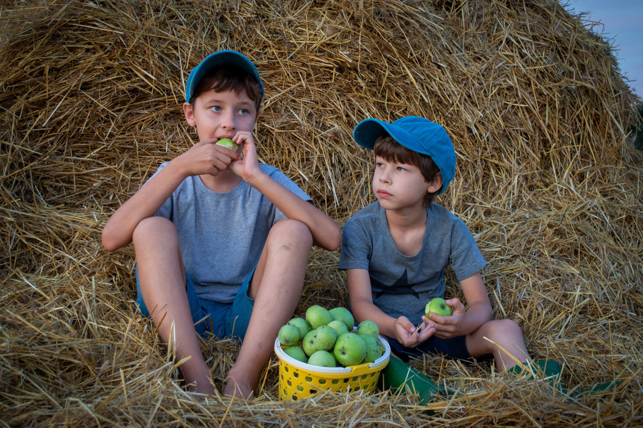 Why You Should Sip on Apple Cider Before Hitting the Hay