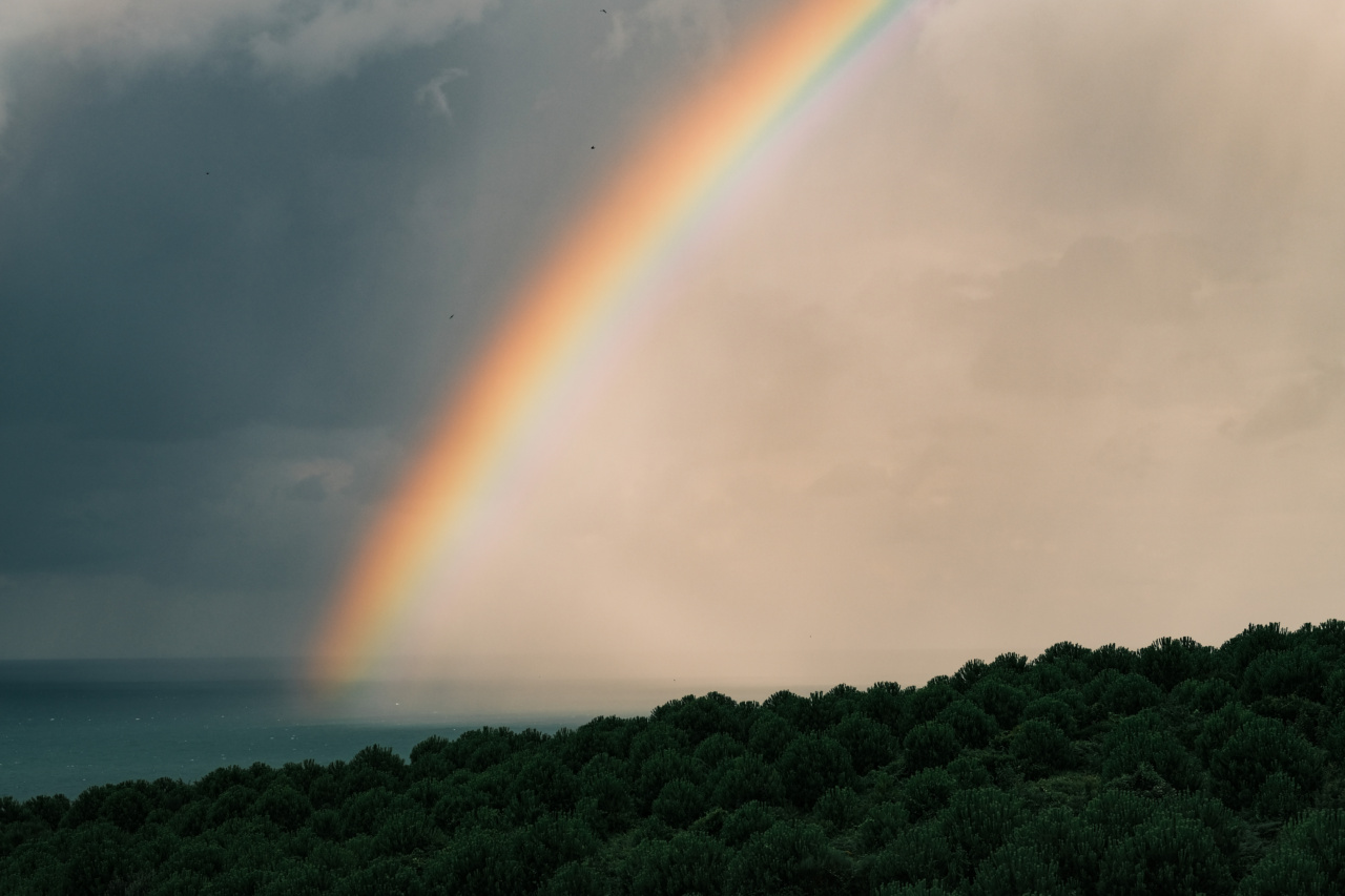 How to Decompress After a Hectic Day