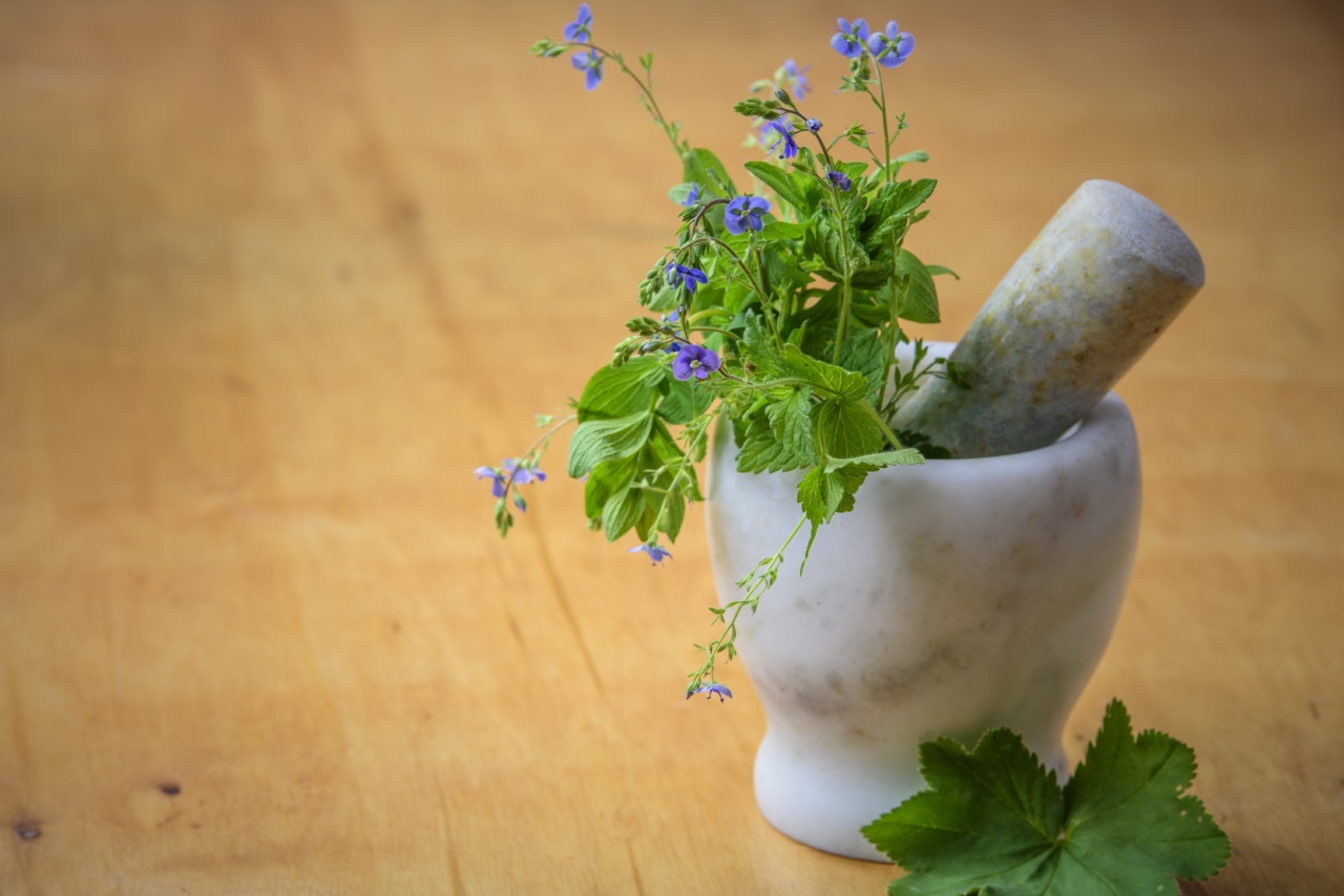 The Healing Properties of Cold: A Powerful Herb for Recovery