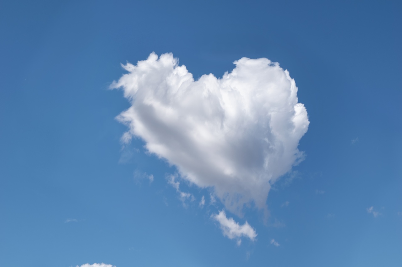 Saturated fats won’t harm your heart