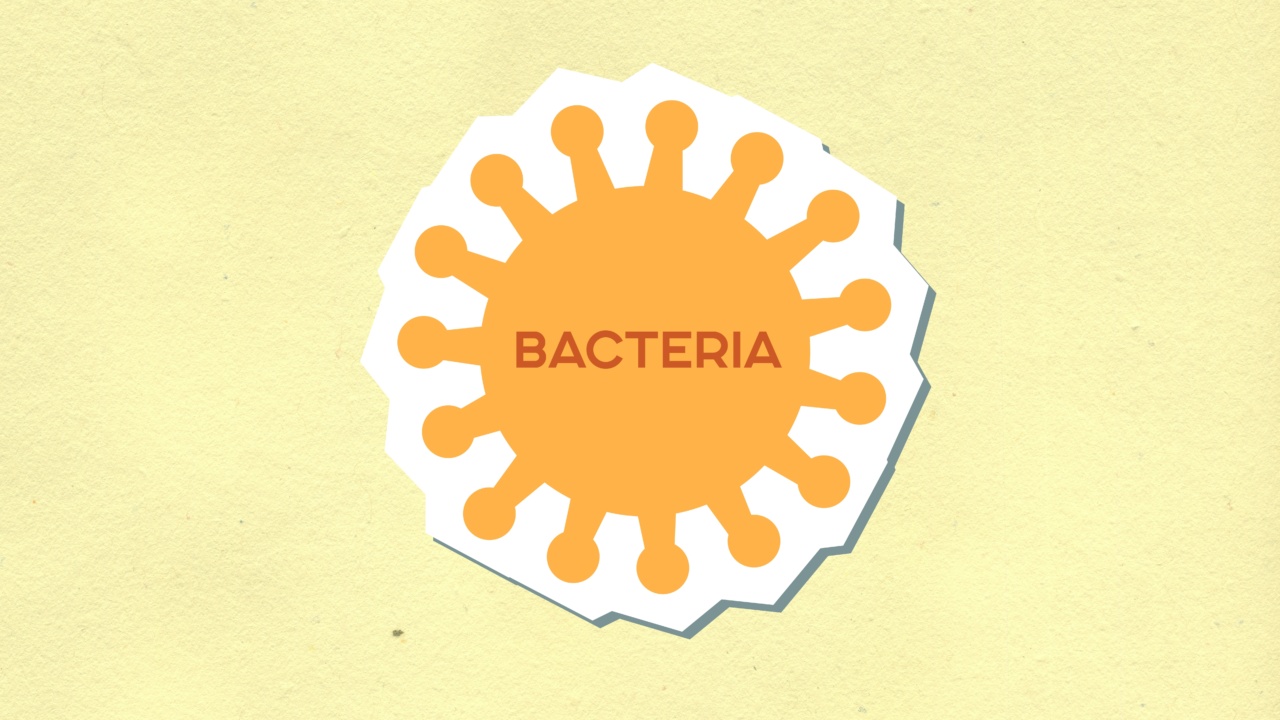 Antibiotics: A double-edged sword for bacteria