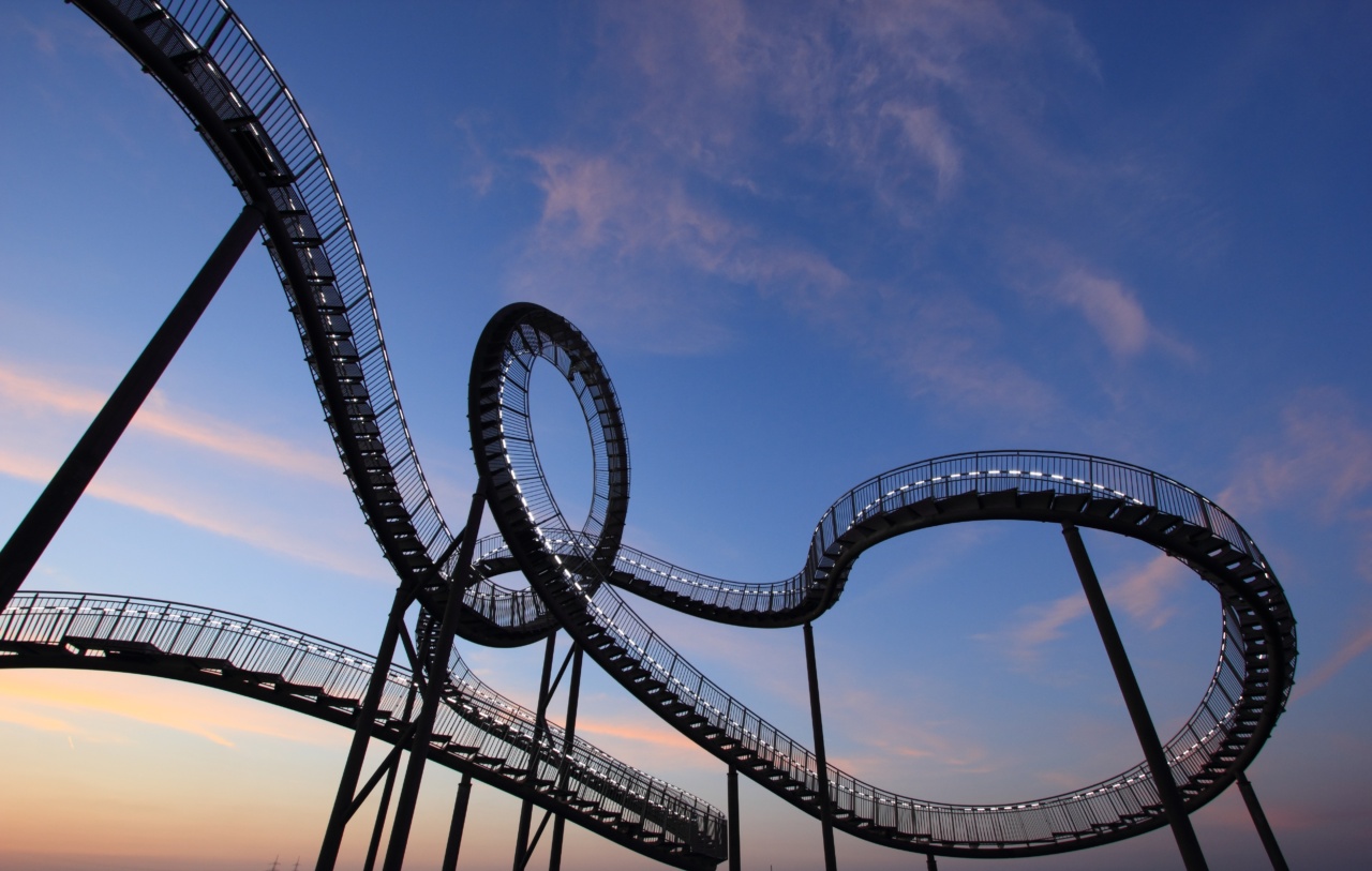 Bipolar Disorder: The Rollercoaster Ride