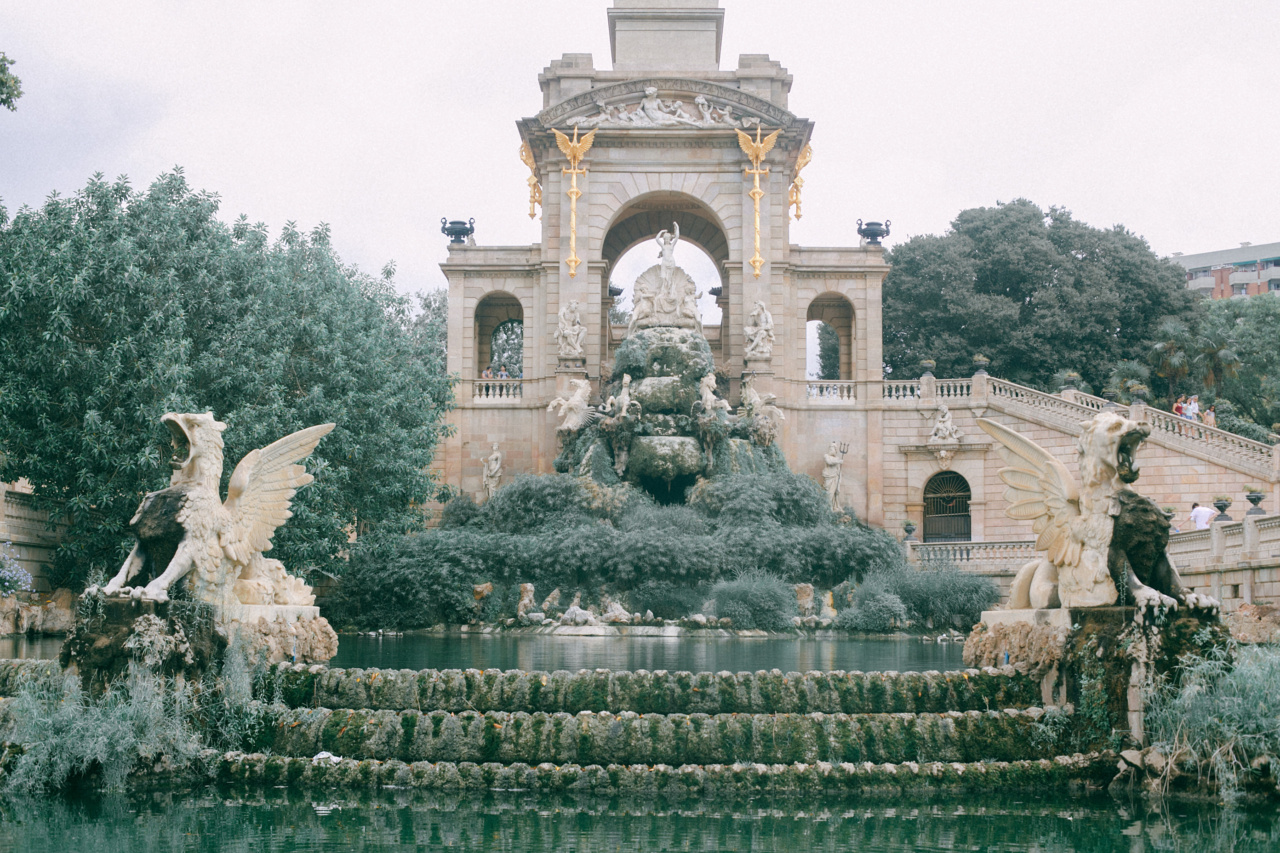 The fountain of youth: Superfoods for anti-aging