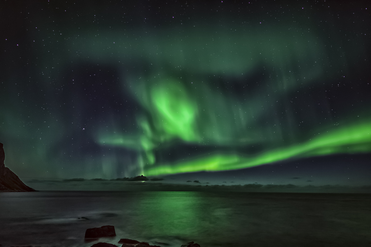 Mystery disease spreads among dogs in Norway