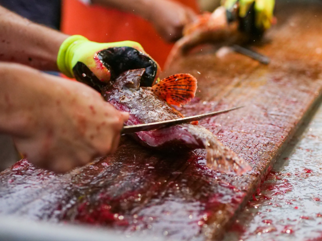 Best practices for cleaning seafood