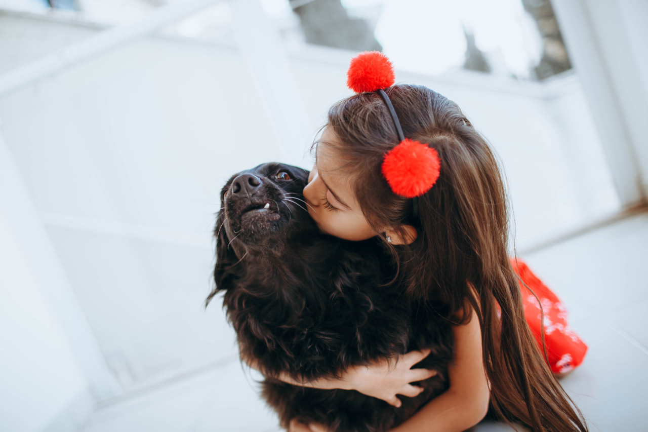 Mans Best Friend: How a Dog Helped a Girl with Autism Through a Panic Attack