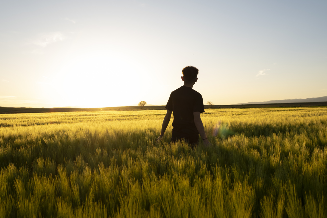Braking for relaxation: tips for a soothing evening