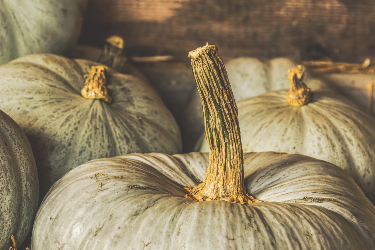 Nutritious Autumn Vegetables: A Visual Guide