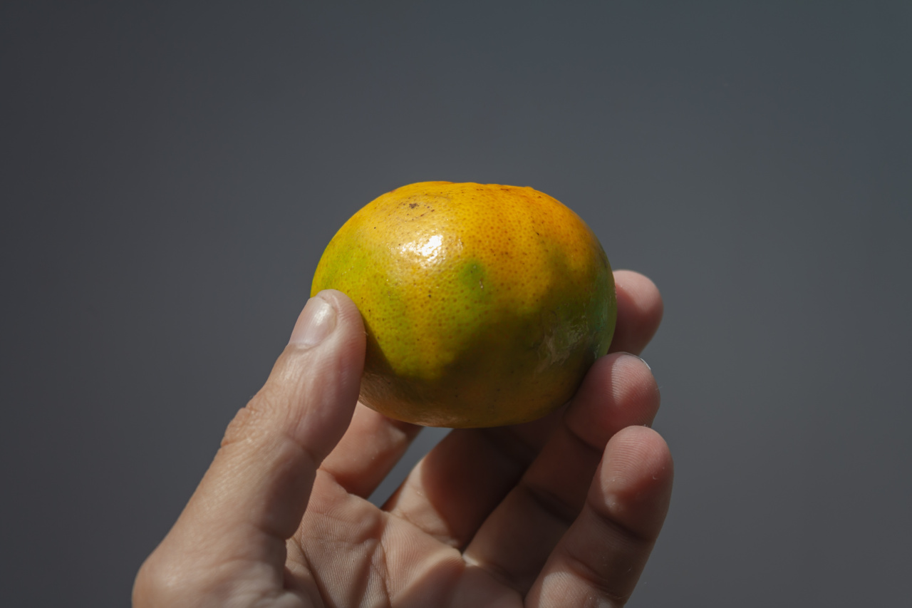 Healthy and Radiant Skin Powered by These 6 Nutritious Foods