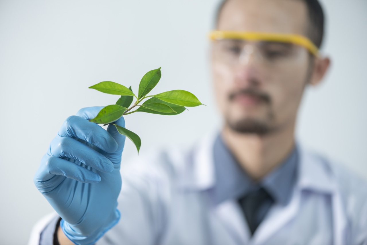 British scientists announce successful creation of thymus in the laboratory