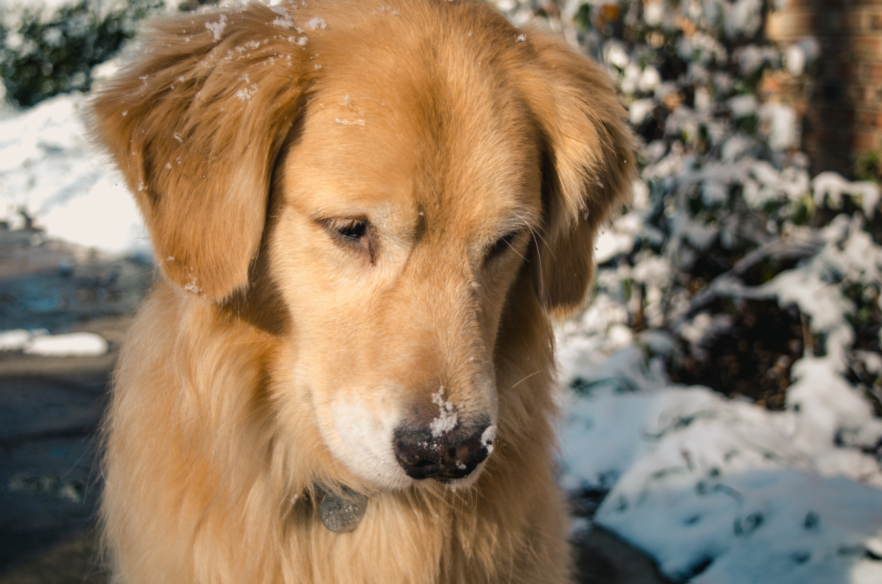 Why do we get a stuffy nose in winter?