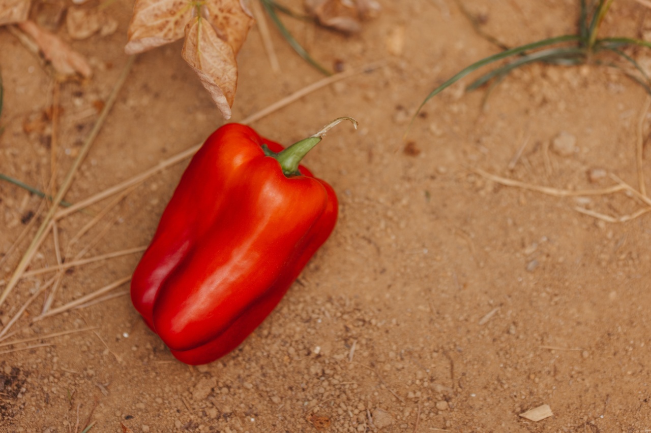 Eliminate herpes itch with these veggie heroes