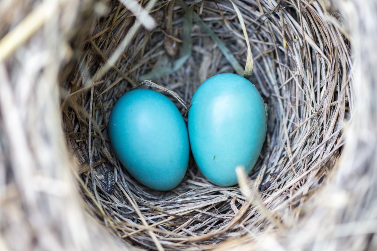 Natural Birth After Cesarean: Possible or Not?