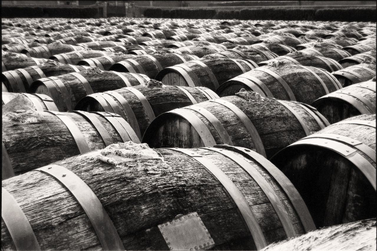 The quantity of alcohol that causes harm to the brain