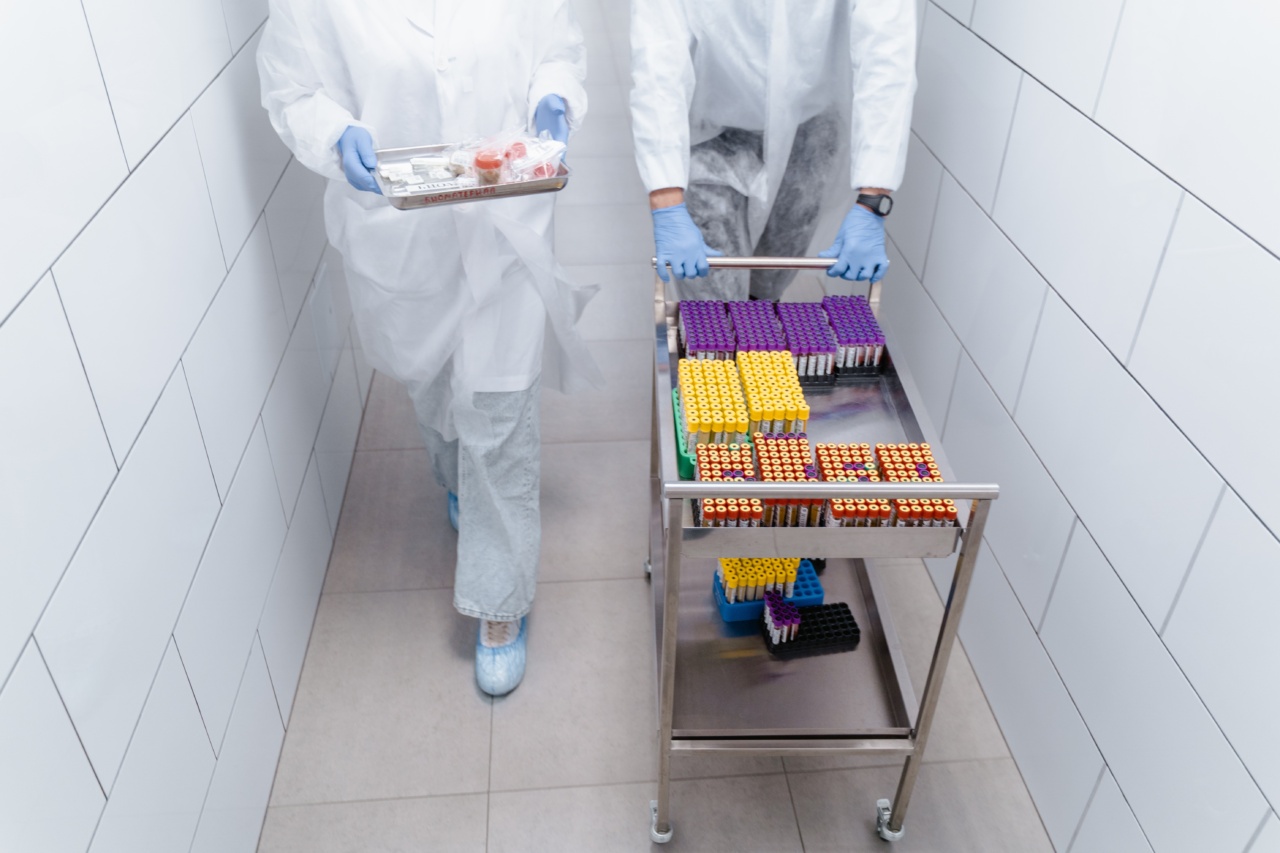 Watch white blood cells combat viruses and bacteria