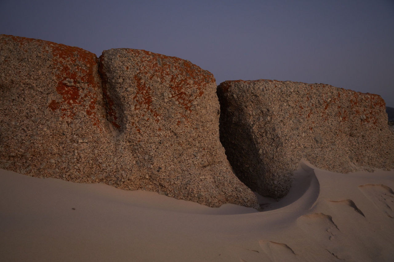 Important areas to cover with sunscreen