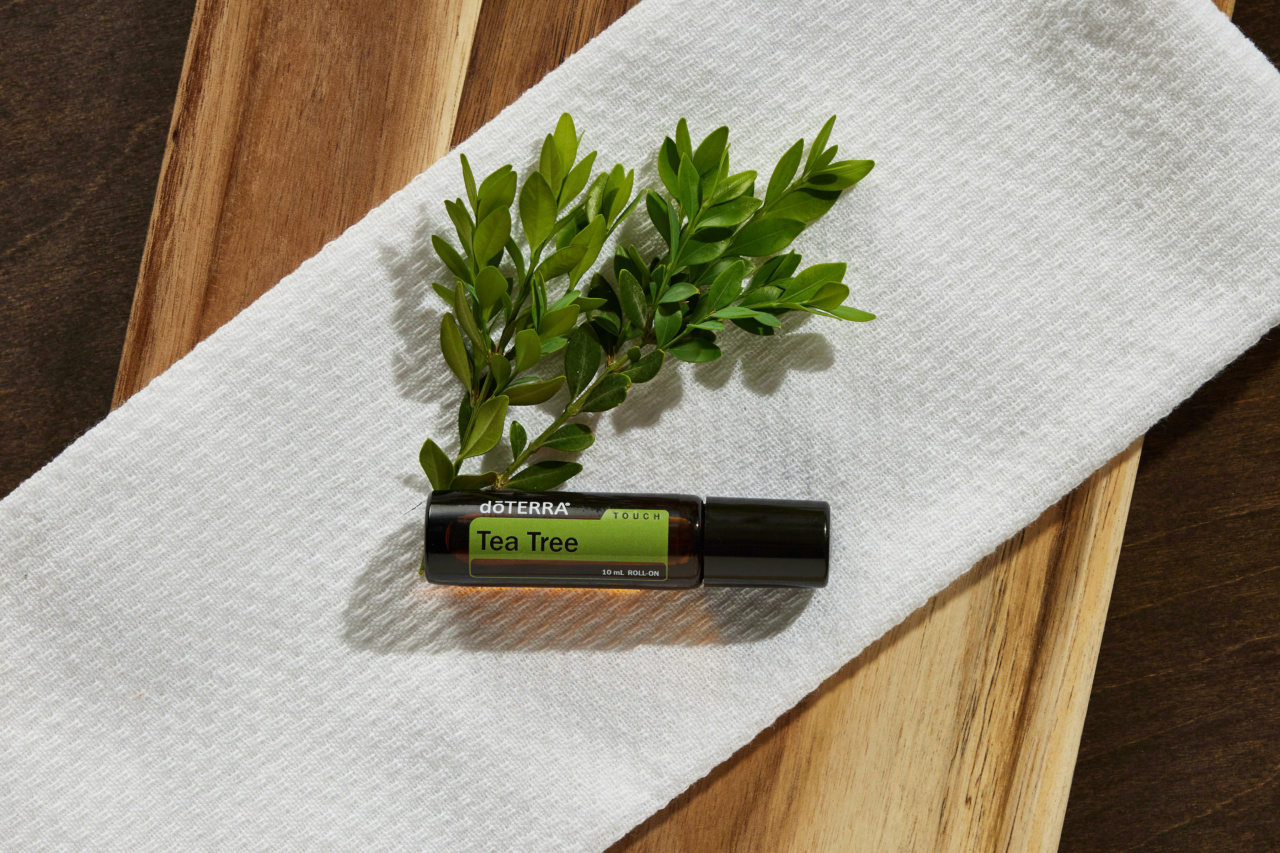 30 essential oils and plants that repel mosquitoes