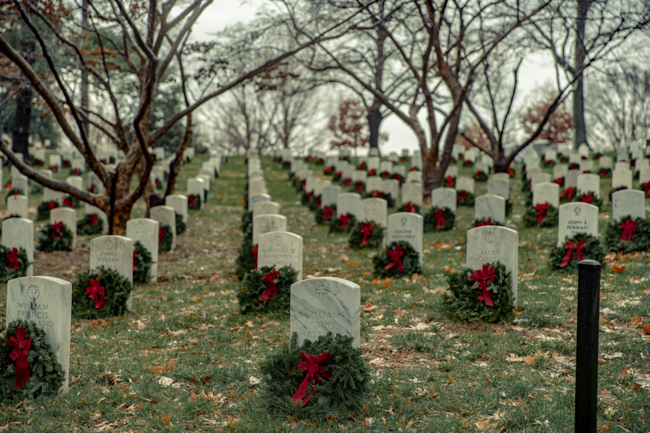 When Death Becomes a Welcome Alternative: Euthanasia in Perspective
