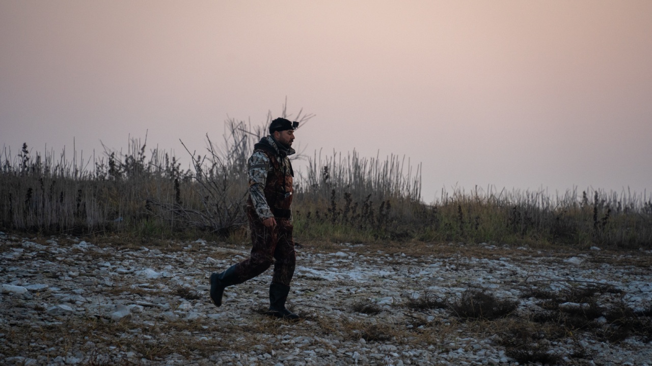 Exploring Perception: Spotting the Camouflaged