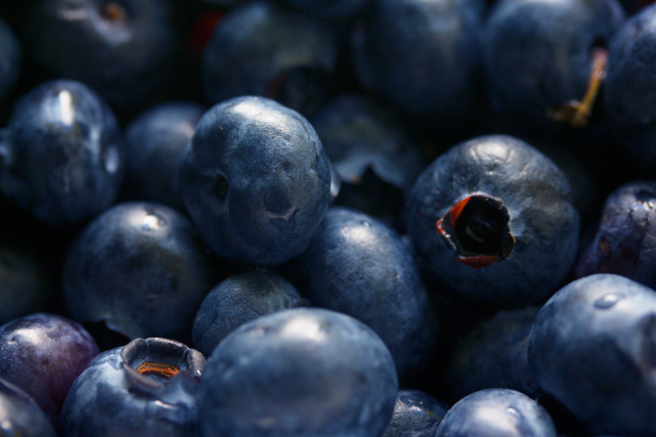 The Vitamin C Booster: Bilberry