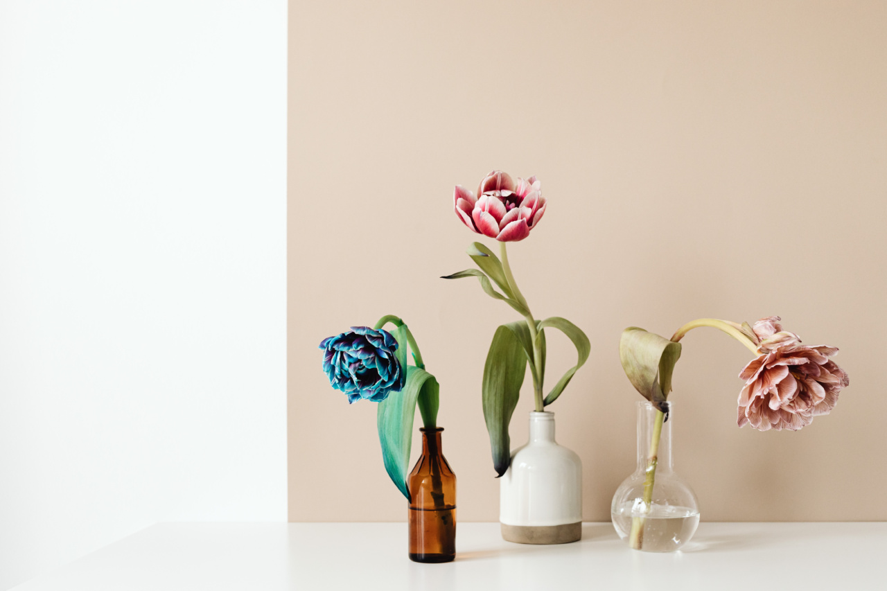Blooms for a Better Life: Overcoming Cancer