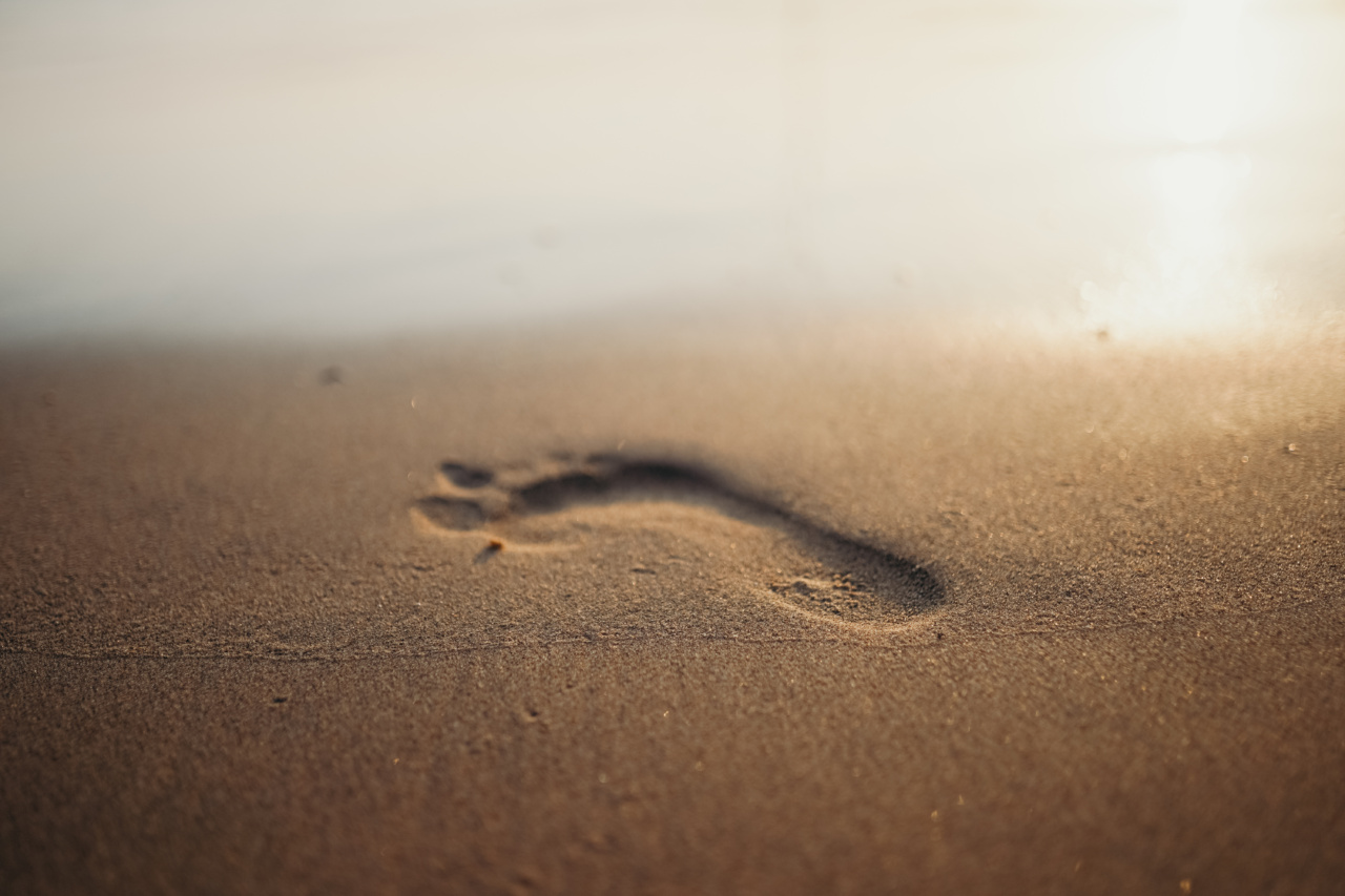 Battling Your Fear of the Beach: Step by Step