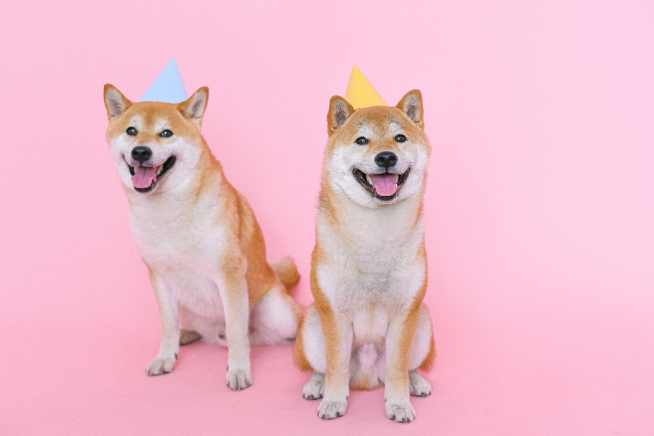 Canine Appreciation Day: Celebrating Our Four-Legged Best Friends