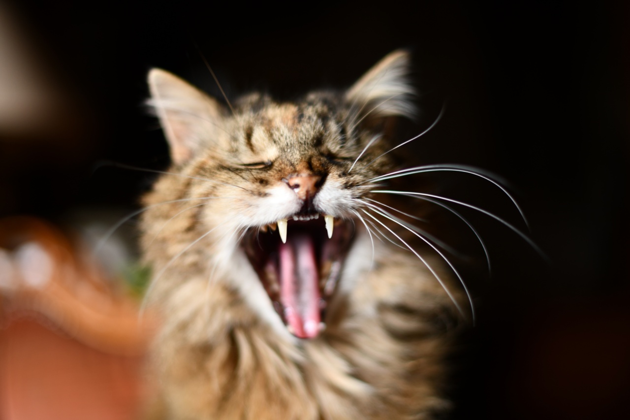 Why Yawning is More Than Just Sleepiness
