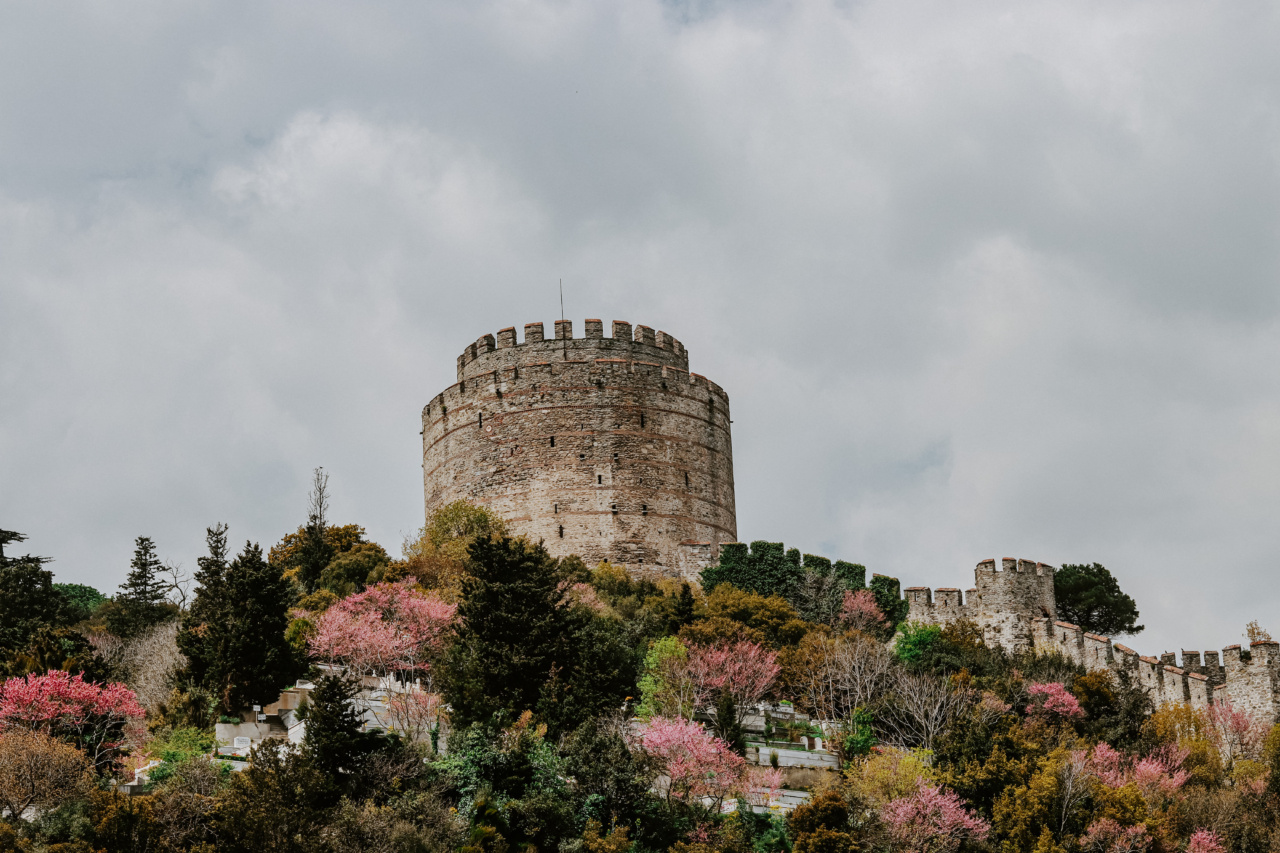 Rocca’s Shield: A Fortress for Your Health