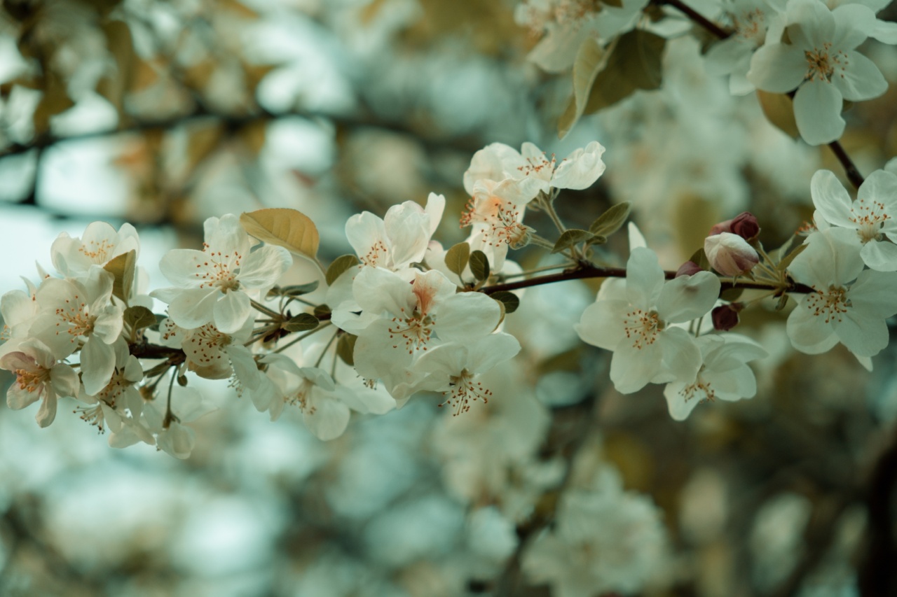 10 ways to avoid allergies during springtime
