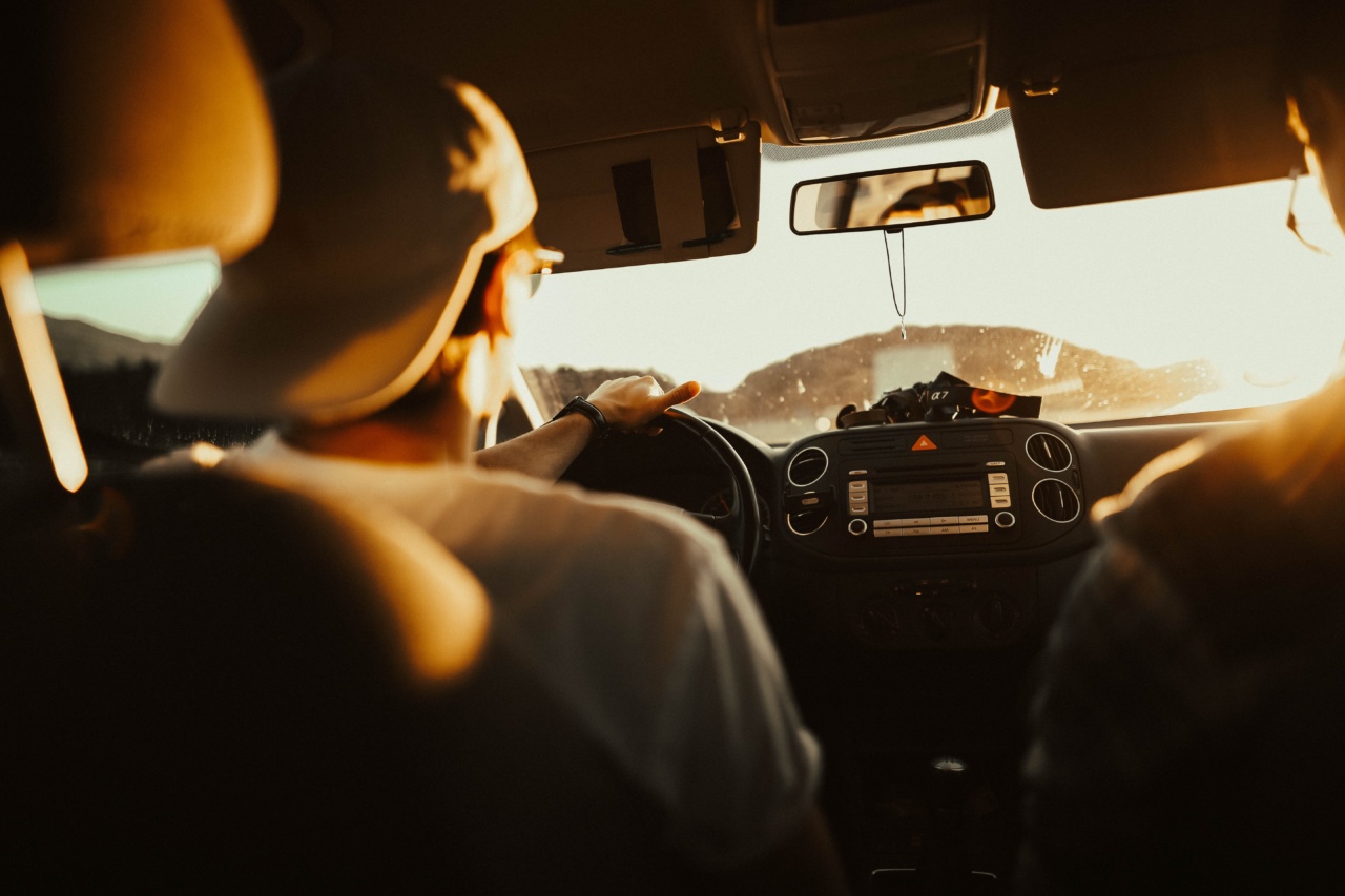 Control Your Dog’s Barking in the Car
