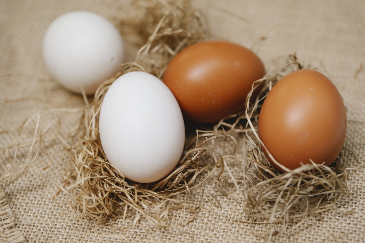 Which is healthier: whole egg or egg white?