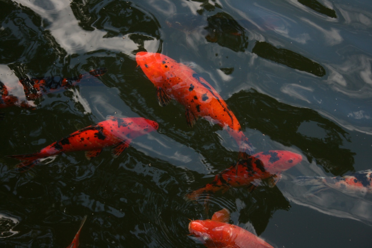 Are certain fish linked to cancer development?