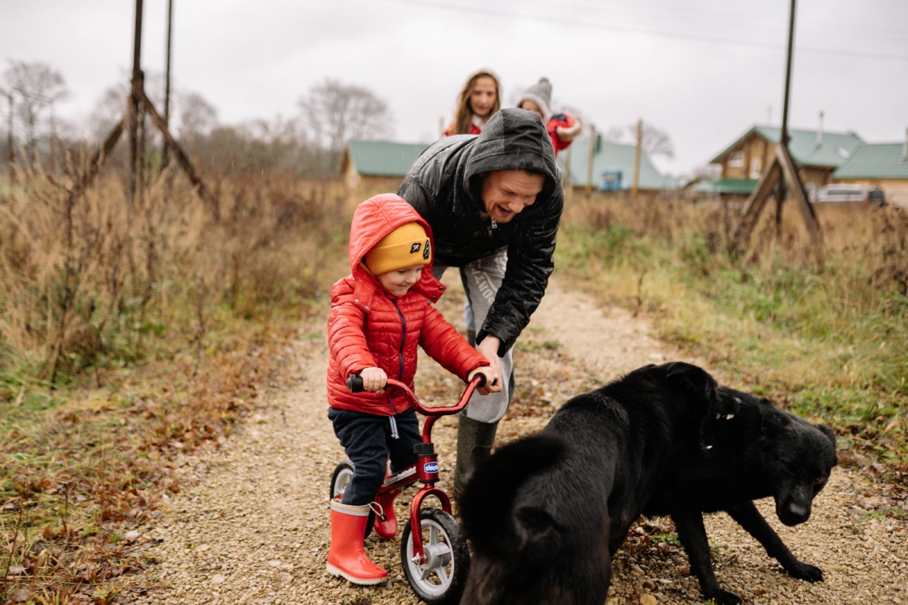 Helping Children Cope After Being Attacked by a Dog