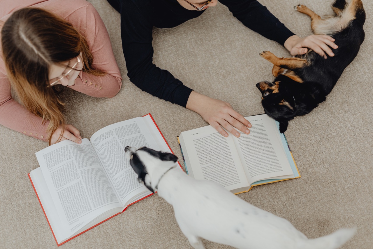 Is education useless for dogs once they reach maturity?