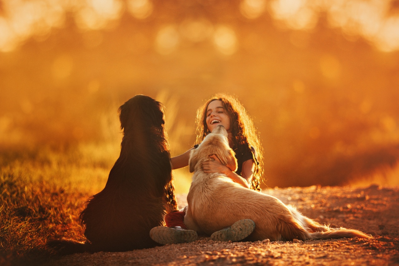 Fact or Fiction: Can Dogs Laugh and Be Tickled?