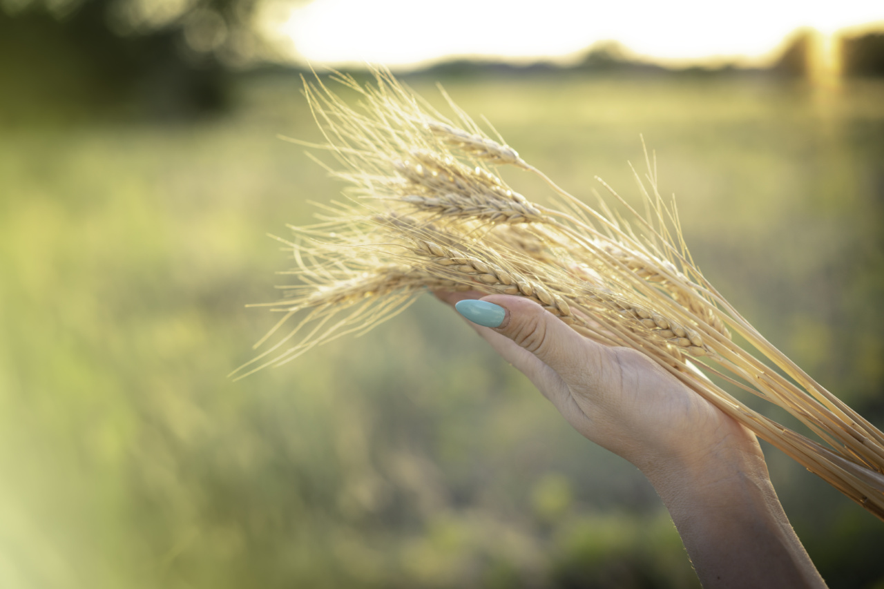 Nail abnormalities and their link to nutrient deficiencies