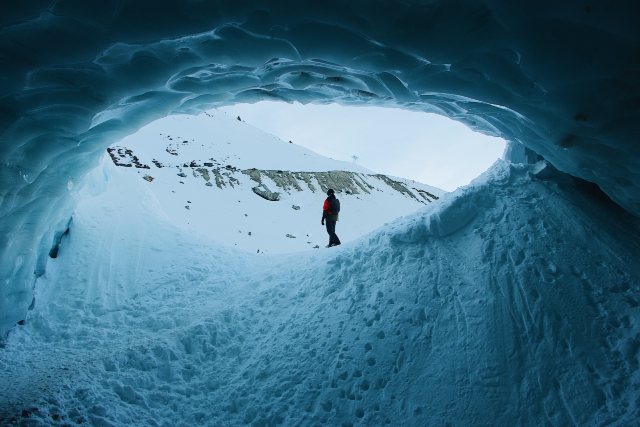 Explore These 8 Foods That Are Ideal for Freezing
