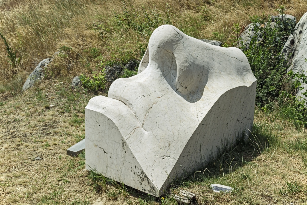 Revamp Your Nose and Eyewear: Discover the Rhin Sculpture Technique