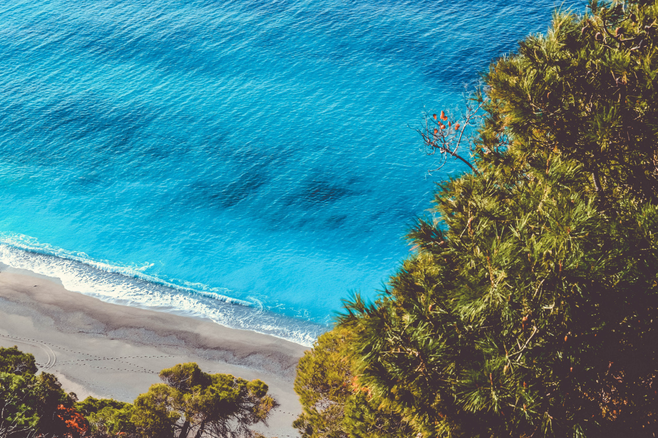 Trimming Down the Sofia Vergara Bay