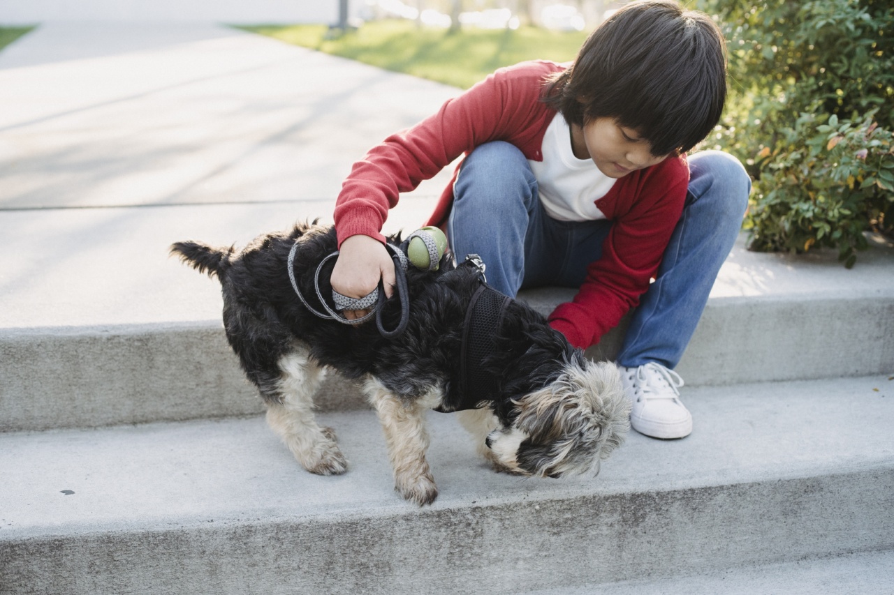 Dogs have the ability to detect cancer cells through smell